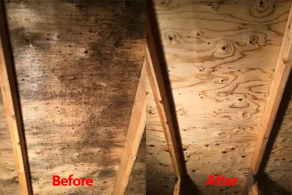 water damage restoration service Au Gres
